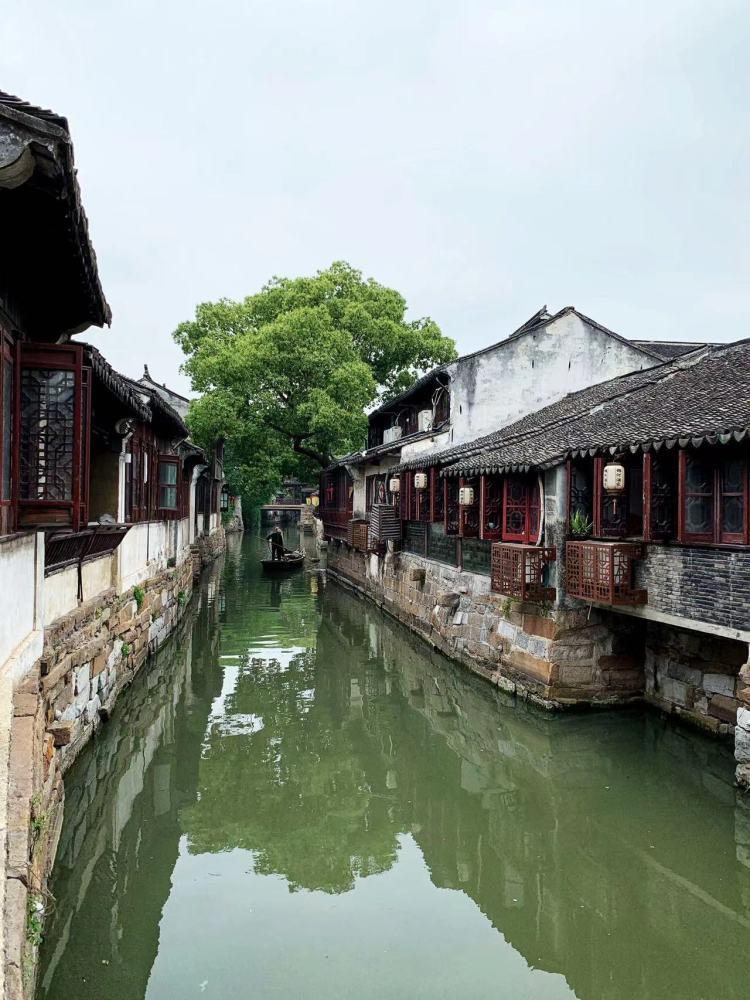 照顾小兔宝宝